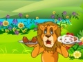 Игра Lion hunger