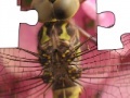 Игра Jigsaw: Dragonfly