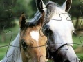 Игра Puzzle Horses
