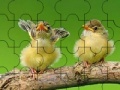 Игра Two cute sparrow puzzle