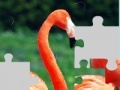Игра Flamingo puzzle