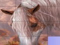 Игра Slide Puzzle: Horse