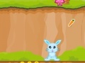 Игра Bunny: Crazy Time