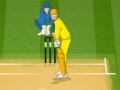 Игра Cricket 2013
