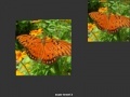 Игра Orange Butterfly