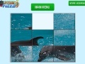 Игра Dolphin Slider