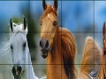 Игра Wild horses slide puzzle
