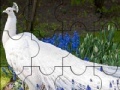 Игра Beautiful peacock puzzle