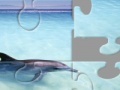 Игра Dolphin