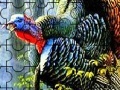Игра Colorful turkey in the forest puzzle