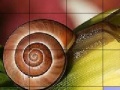 Игра Snail and flower slide puzzle