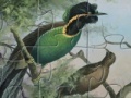 Игра Birds of Paradise Jigsaw