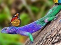 Игра Lizard and butterflies puzzle
