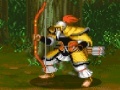 Игра Dynasty Fighter