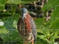 Игра Green Heron