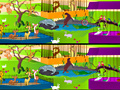 Игра Animal Park Spot the Difference