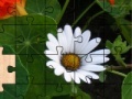 Игра Camomile