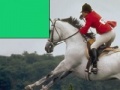 Игра Horse Jumping Jigsaw
