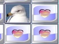 Игра Birds Match