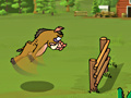Игра Kaban Racetrack