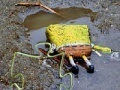 Игра SpongeBob Found Dead Jigsaw Puzzle