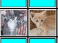 Игра Fuzzy Memory: Kittens