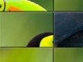 Игра Tucan Slider Puzzle