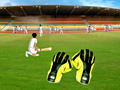 Игра Wicket Keeping Volt