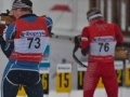 Игра Biathlon: Five shots
