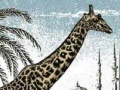 Игра Giraffe Jigsaw Puzzle