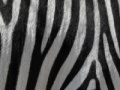 Игра Jigsaw: Zebra Stripes