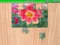 Игра Dahlia 3