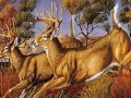 Игра Runner deers slide puzzle