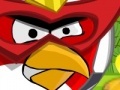 Игра Angry Bird protect home