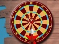 Игра Crazy Dart