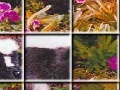 Игра Skunks in the garden puzzle