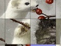 Игра White animal and rosehip slide puzzle