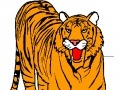 Игра Tiger Coloring