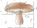Игра Champignon Jigsaw