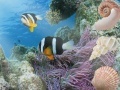 Ігра Aquatic Interactive 