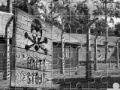 Ігра Auschwitz Birkenau