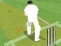 Ігра Cricket Championship