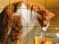 Ігра Small fish and cat slide puzzle