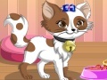 Игра Kitty the cat dress up