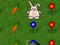 Ігра Bunny Run