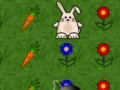 Игра Bunny Run