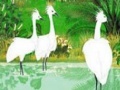 Ігра Fabulous birds in the river puzzle