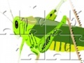 Ігра Cavalletta Jigsaw
