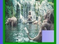 Игра Elephants in the sea slide puzzle