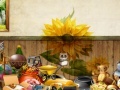 Ігра Grace Girls Room: Hidden Object